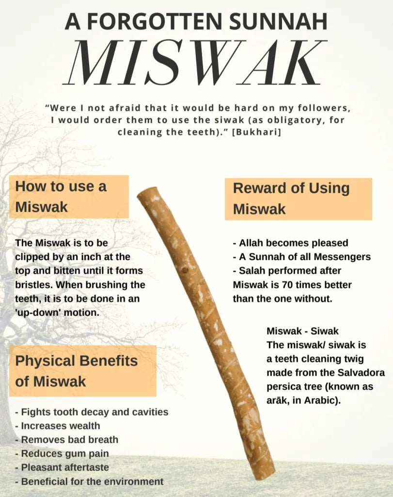Peelu Miswak (12 Pieces)