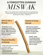 Peelu Miswak (12 Pieces)